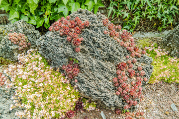 Berggarten - Herrenhäuser Gärten - Hannover