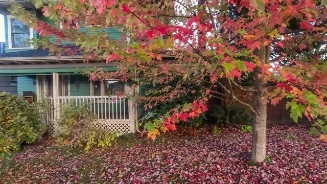 Passing by an American suburban home on a fall day with colorful leaves
