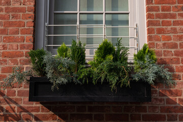 Fototapeta na wymiar Window Sill Flower Box with Green Plants on an Old Brick Building in New York City
