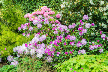 Berggarten - Herrenhäuser Gärten - Hannover