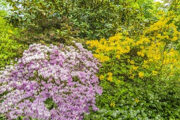 Obraz premium Berggarten - Herrenhäuser Gärten - Hannover