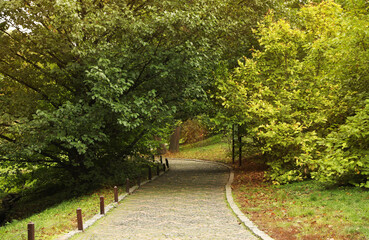 Beautiful view of park with trees on autumn day