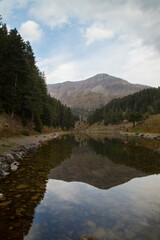 Fototapeta premium Autumn forest lake water view. Forest lake water in autumn. Autumn forest lake. Autumn forest lake view