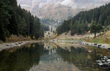 Naklejka premium Autumn forest lake water view. Forest lake water in autumn. Autumn forest lake. Autumn forest lake view