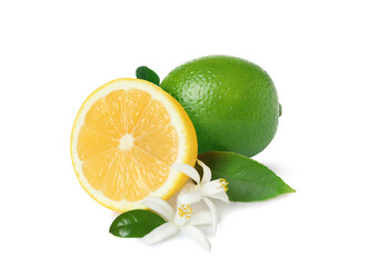 Fresh ripe lime, lemon and citrus flowers with green leaves on white background