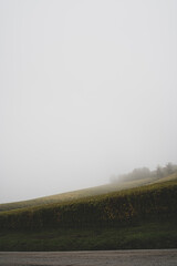 Foggy autumn morning in Piemonte's Langhe vineyards, Unesco World Heritage in Italy