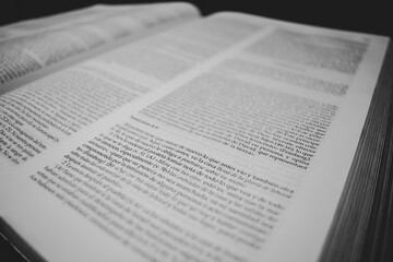 #libros	
#books	
#bookstagram	
#literatura	
#leer	
#book	
#frases	
#libro	
#poesia	
#amor	
#madrid	
#lectura	
#love	
#escritor	
#espa&ntilde;a	
#versos	
#lecturas	
#escritos	
#read	
#instabook	
#poema	
#letr