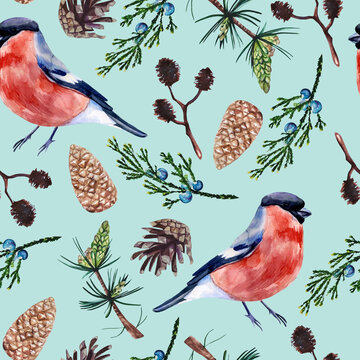 Watercolor hand painted seamless pattern with bullfinch, cones and branches of pine tree,  juniper and alder on light blue background. Cozy pattern with atmosphere of winter forest.