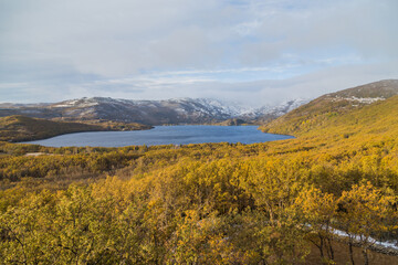 Obraz premium Sanabria lake in winter