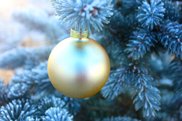 Fototapeta na wymiar The golden Christmas ball toy weighs on a blue-green branch covered with snow. 