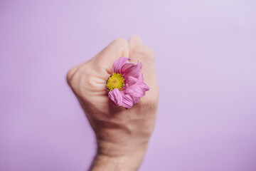 flowers in purple hand