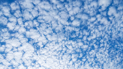 Fototapeta na wymiar Spindrift cloudscape with blue sky.