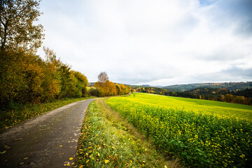 Obraz premium golden autumn, autumn landscape, reservoir in the Upper Palatinate, colorful leaves