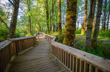 Billy Frank Jr. Nisqually National Wildlife Refuge