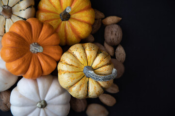 Collection of colorful little mini Pumpkins mixed with walnut, Chestnut on black background.