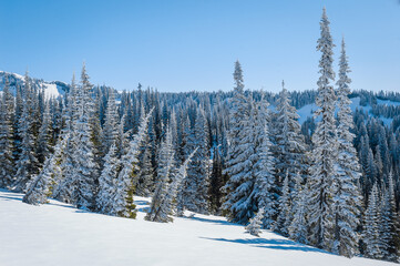 Mount Rainier National Park