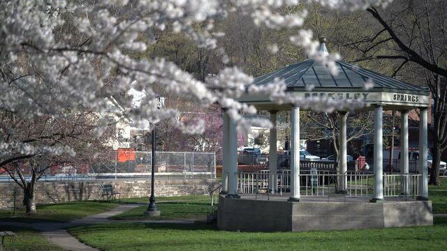 Static Shot Of Very Large Gazebo In Berkeley Springs State Park Through Blossoms.