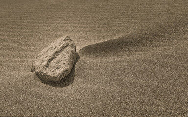 Roca en la duna 