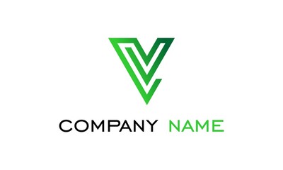 logo icon v company name