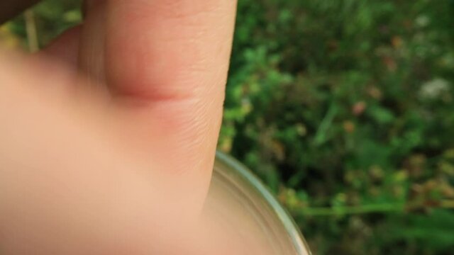 Macro close up POV shot of a hand picking the seeds from a dried up flower bud outdoor, and letting them fall in a glass jar. DIY seed harvest.