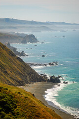 Sonoma Coast State Beach