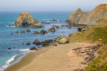 Sonoma Coast State Beach