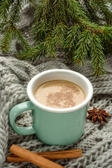 Obraz na płótnie Canvas mug of cocoa with cinnamon on a knitted blanket with Christmas tree branches.