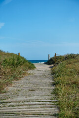Fototapeta premium Holzweg, Düne, Meer, blauer Himmel