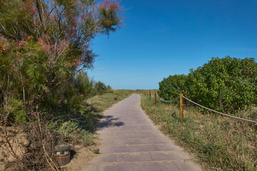 Fussweg, Düne, blauer Himmel