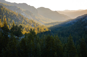 Stanislaus National Forest