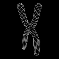 Chromosome scientific medicine education concept.