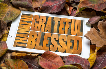 thankful, grateful and blessed - abstract in vintage letterpress wood type on a digital tablet against dry leaves background, Thanksgiving theme and greeting card