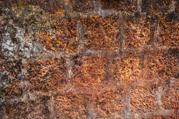 rusty metal texture