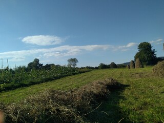 field and blue sky