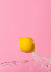 Fresh lemon on a pink background. Splashes of clear water fly in different directions.