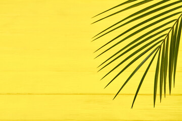 Palm tree branch. Yellow wooden desk and copy space.