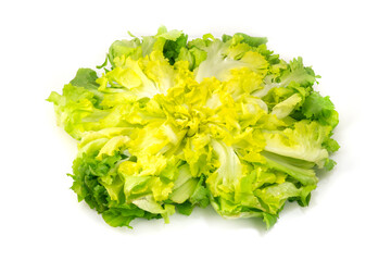 Escarole