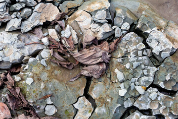 Natural stone used in construction and outdoor landscape design.