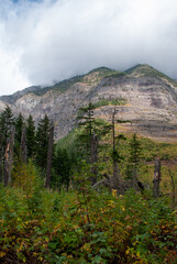 Glacier National Park