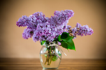 bouquet of beautiful spring flowers of lilac on an orange