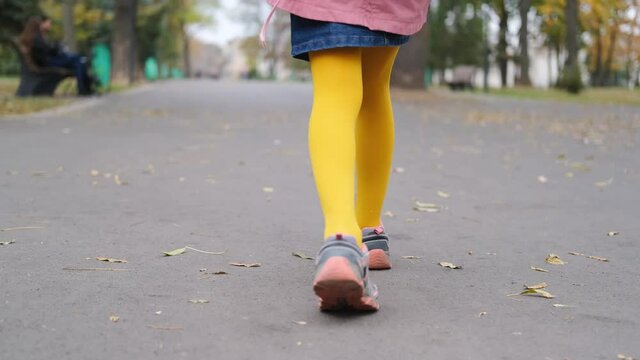 Rear view of little girl legs in bright tights walking along alley in autumn park