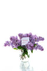 bouquet of beautiful spring flowers of lilac on white background