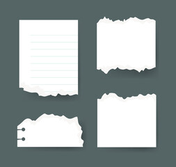 Vector Illustration Clip Art Scraps Papers. Set of Notebook Pieces. Torn Page Isolated Objects