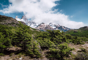 Forests and mountains of Patagonia in South America