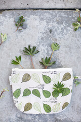 green grass frame and old concrete