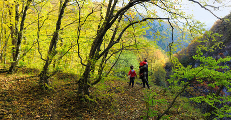 Autumn in the mountains. Family walk in the autumn forest