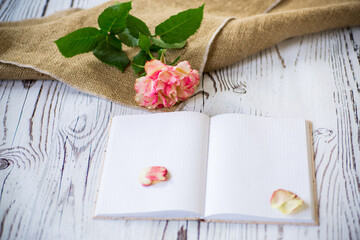 Naklejka na ściany i meble bright pink rose and blank notebook as a blank