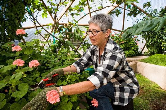 senior woman gardening in geodesic gome