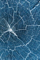 Abstract blue texture. Stone texture. Wood texture. Marble texture. Natural abstraction. Abstract blue textured background. Abstract blue spots. Blue textured pattern. Tile