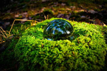 Glaskugel im Moos